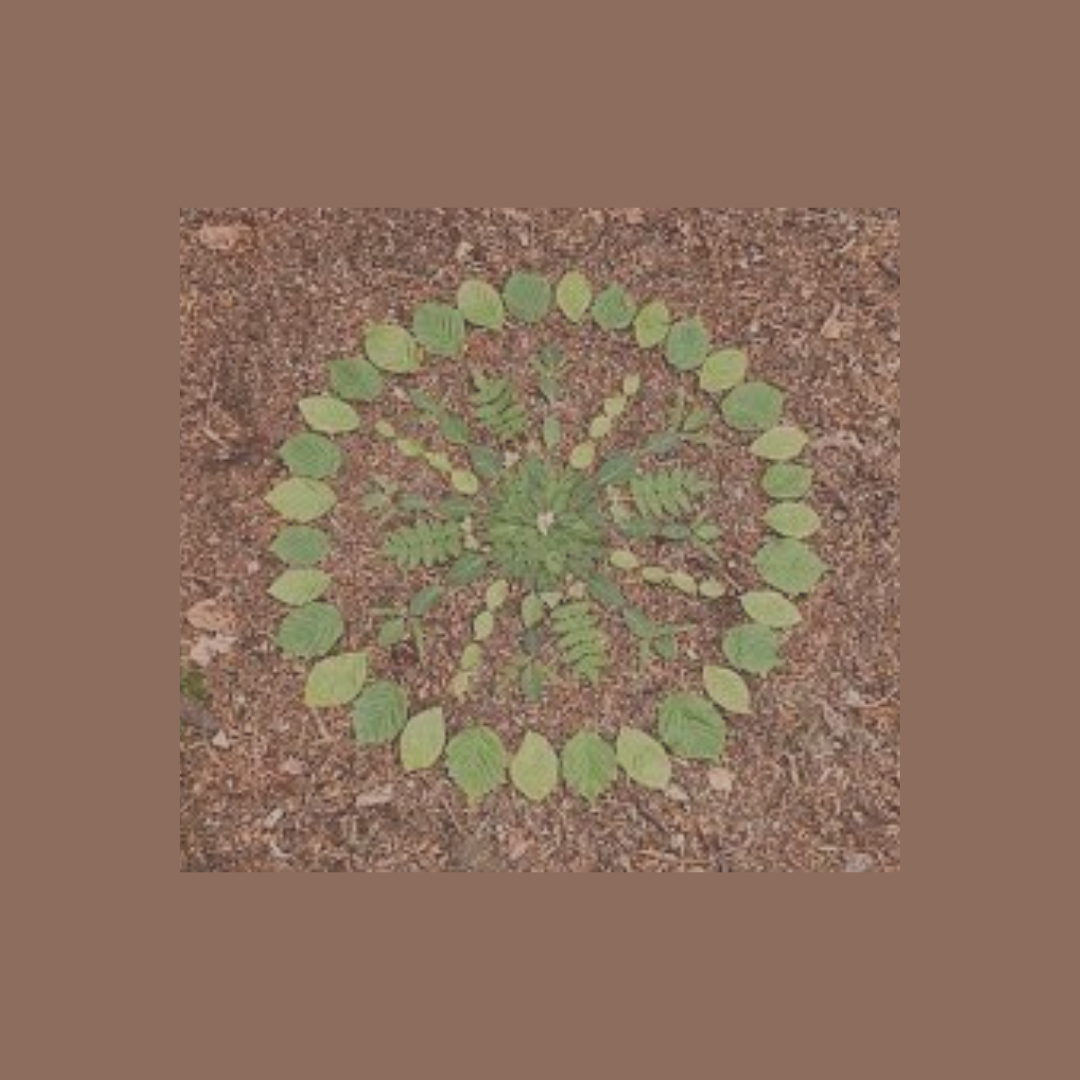 Mercredi 21 Juin à 14h : Land Art Aaec Najany Arango